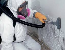 Best HVAC Mold Inspection and Cleaning  in Crewe, VA